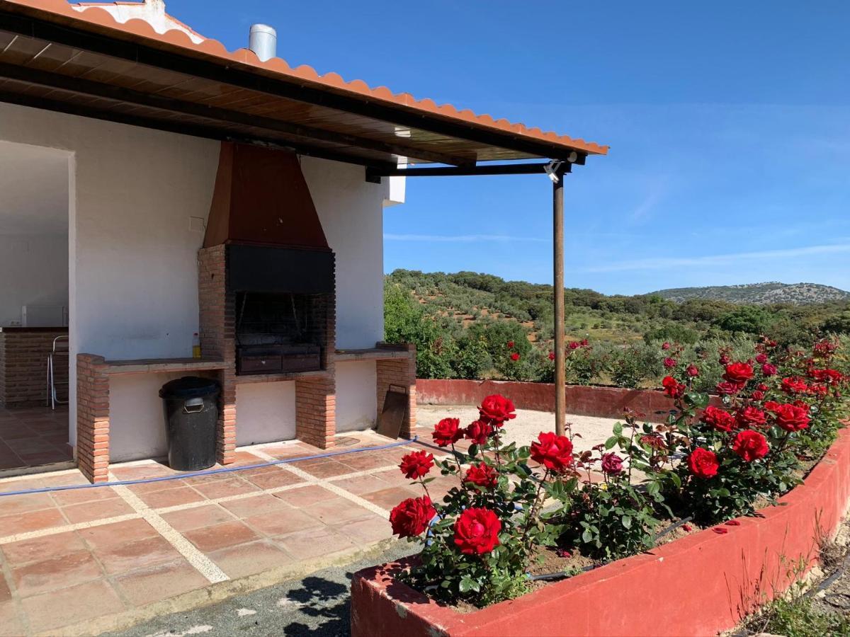 Santa Marta Complejo Rural Con Pista De Padel Guest House Archidona Ngoại thất bức ảnh