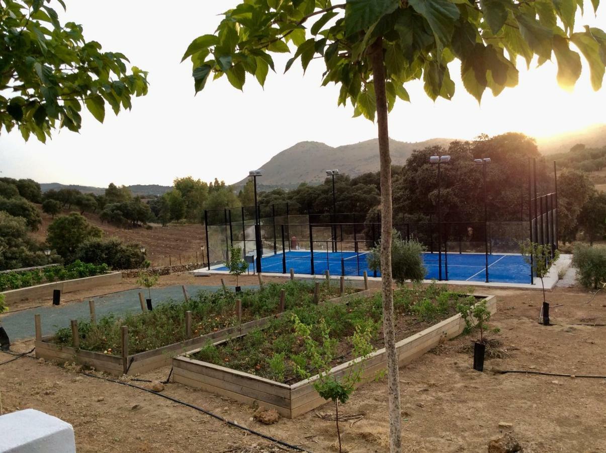 Santa Marta Complejo Rural Con Pista De Padel Guest House Archidona Ngoại thất bức ảnh