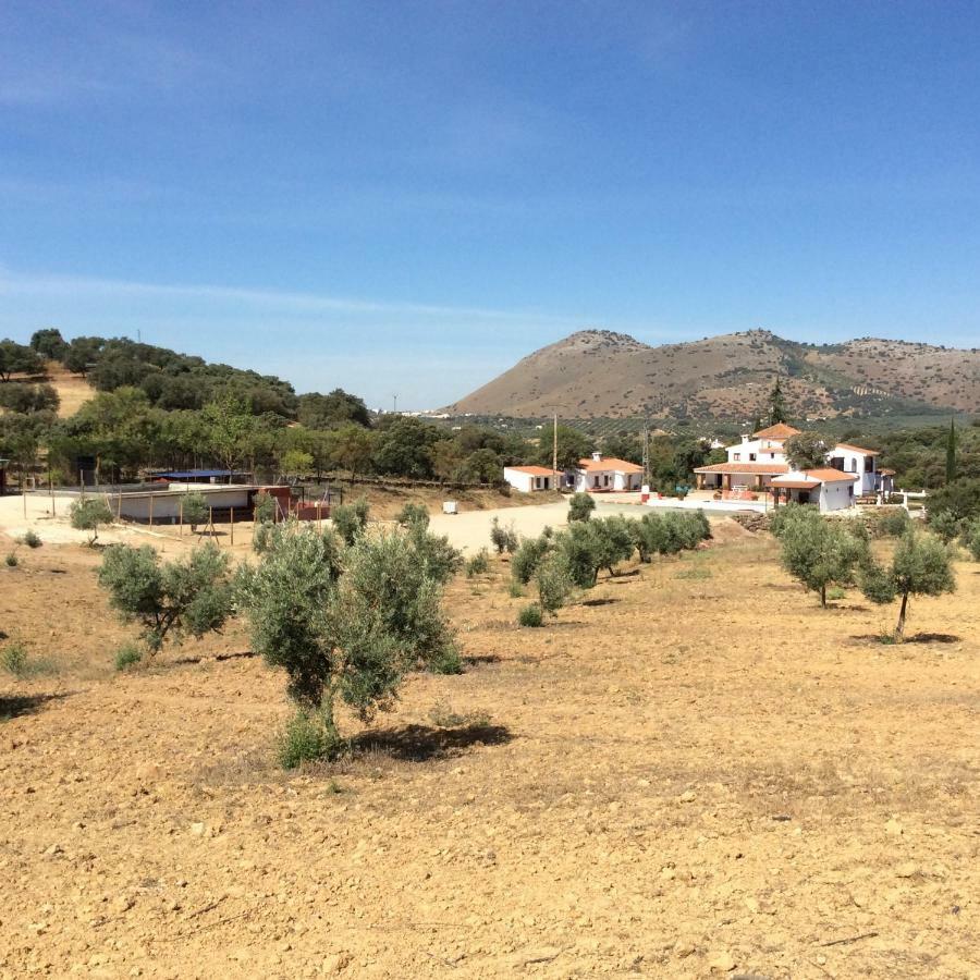 Santa Marta Complejo Rural Con Pista De Padel Guest House Archidona Ngoại thất bức ảnh